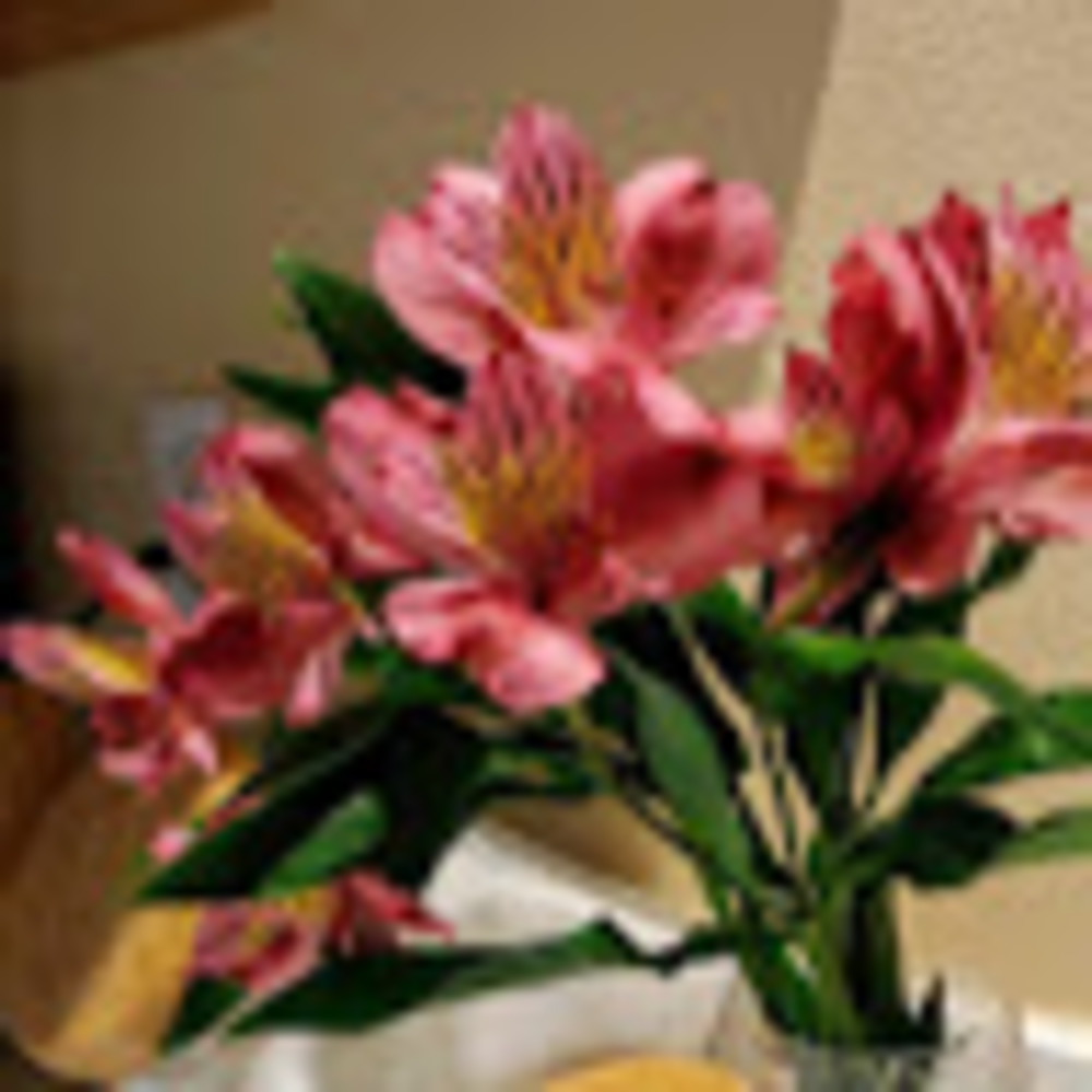 Meet your Posher, Lucy